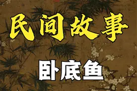 民间故事：卧底鱼视频封面
