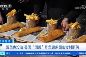 没鱼也没油 英国“国菜”炸鱼薯条面临食材断供视频封面