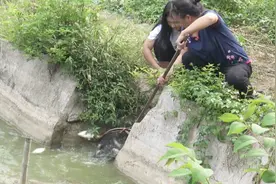 小纯跟妈妈在“鱼塘”抓鱼，这方法太实用了，立马上货视频封面