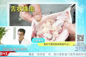 活鱼肚子里出现大量寄生虫！专家作出解释，只要这样做依旧可食用视频封面