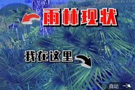 别爬了，再爬就亲上了...视频封面