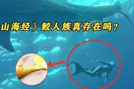 山海经鲛人族真存在？船员无意进入人鱼世界，却无意看到海底遗址视频封面