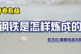 开卷有益：名著品读——《钢铁是怎样炼成的》： 第十四回。视频封面