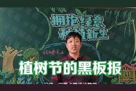 植树节黑板报，让我们种下绿色，收获美好视频封面