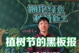 植树节黑板报，让我们种下绿色，收获美好视频封面