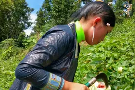 陪85岁的外曾祖母去割猪菜，渴了就拿个西瓜吃，好好陪着家人视频封面