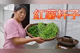 朱大哥把红薯藤子全部割回家，朱嫂把它做成泡菜，吃一年都不会坏