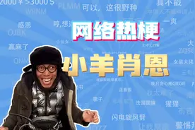 【网梗课代表】小羊肖恩是什么梗？视频封面