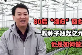 80后“海归”回乡种菜，一颗种子翘起亿元财富，他是如何做到的？视频封面