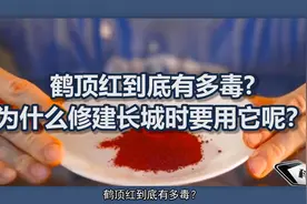鹤顶红有多毒？为什么修建长城时要用它？视频封面