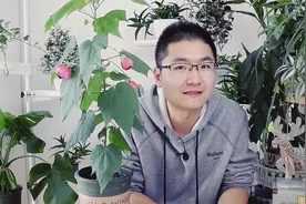 这么好看的花你见过吗？为什么很少有人栽培，给我一个合理的解释视频封面