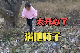 山上的柿子树太高没法摘，当兵的姐夫有办法，轻轻松松就搞了许多视频封面