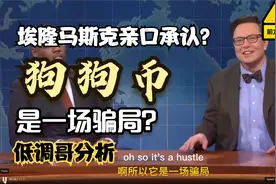马斯克亲口承认狗狗币是骗局？来看看原版视频！低调哥分析原委！视频封面
