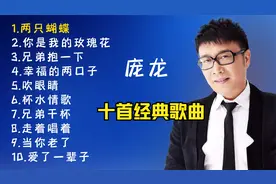 庞龙十首经典歌曲，带歌词视频封面