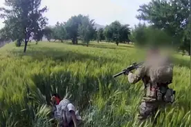 3枪爆头！为完成“首杀”，澳洲军方射杀吓倒在麦田的阿富汗平民视频封面