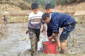 儿媳妇过生日，爷爷带上3个孙子放水捞鱼，这才是童年的乐趣