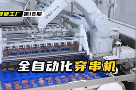 一小时能串2万串的自动化穿串机，夏天的小烧烤可以安排起来了视频封面
