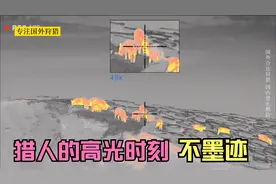 野猪泛滥，猎人的高光时刻，用红外热成像瞄准镜狙击狩猎野猪视频封面
