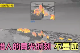 野猪泛滥，猎人的高光时刻，用红外热成像瞄准镜狙击狩猎野猪视频封面