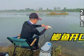 入秋了，钓鱼的黄金季节到了，野河大鲫鱼也开口了视频封面