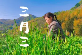 阳春三月三，荠菜当灵丹；林间野地寻，荠菜煮鸡蛋。@西瓜农人视频封面