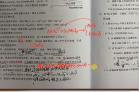 学生答疑定制视频：化工流程，制备高锰酸钾视频封面