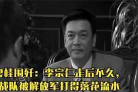 粤桂围歼：李宗仁走后不久，战队被解放军打得落花流水视频封面