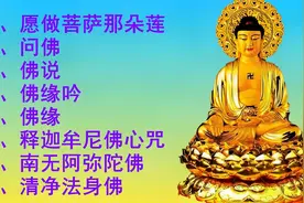 静心佛歌《愿做菩萨那朵莲》《问佛》《佛说》《佛缘吟》《佛缘》视频封面