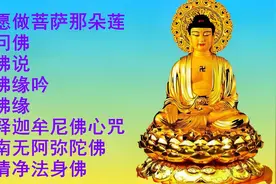 静心佛歌《愿做菩萨那朵莲》《问佛》《佛说》《佛缘吟》《佛缘》视频封面
