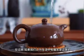 减少你的痛苦要从认识痛苦开始，什么是苦苦、变苦和行苦，往下看视频封面