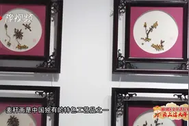 视频丨麦秆粮食能做画？漯河市郾城区这样庆丰年视频封面