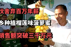 小伙舍弃百万年薪，返乡种植榴莲味菠萝蜜，年销售额突破三千万元视频封面