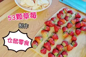 主人用53个草莓，制作仓鼠零食，小仓鼠很喜欢吃哦。视频封面