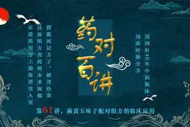五味子的性味归经、药性药理及禁忌详解与代表方速览视频封面