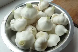 这才是腌糖蒜正确的做法，酸脆可口，超开胃特下饭，放一年也不坏视频封面