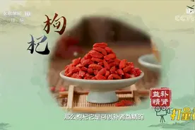 枸杞有补肾益精、养肝明目的作用，它能提升人的精气神，滋补肝肾视频封面