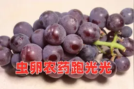 洗葡萄，只用清水洗等于吃泥土，老果农教我一招，泥土虫卵全跑光视频封面