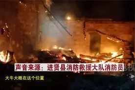 母牛被烧只剩骨架 牛宝宝站旁边迟迟不肯离开视频封面