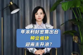 年末利好密集出台，种业板块迎来主升浪？视频封面