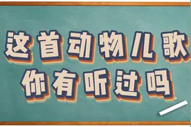 这首粤语动物儿歌你有听过吗视频封面