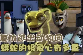 蟒蛇的报复心有多强？杀无赦逃出动物园，把仇人挨个吞进肚子视频封面