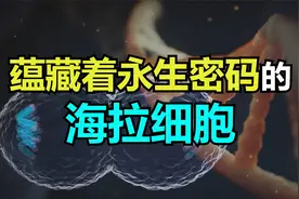 海拉细胞：这个女人的细胞中蕴藏着永生密码，还拯救了无数生命视频封面