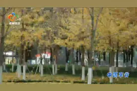 武汉发布今冬首个寒潮预警视频封面