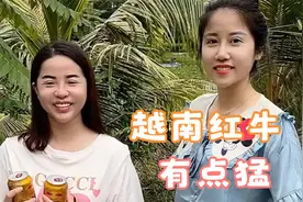 越南红牛有点猛呀，亲自品藏一口，真有点不一样视频封面