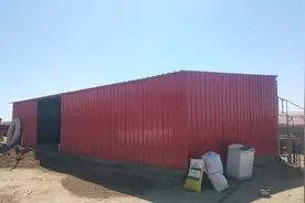 农村养羊储备饲料必须有个好库房，养羊小伙建简易库房，太实用了视频封面