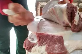 见识一下高手拆解牛骨，刀工一流不多留一点肉，开眼界了