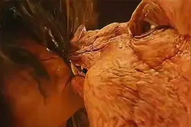和一头猪亲吻是什么感觉？如果是我估计下辈子都会做噩梦的吧视频封面