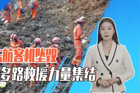 东航客机高速坠毁，事故原因需黑匣子才能判断，多路救援全面展开视频封面