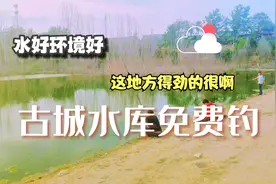 古城水库，环境优美免费钓鱼，适合休闲户外宿营享受假日。视频封面
