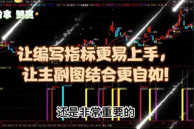 让编写指标更易上手，让主副图结合更自如!视频封面